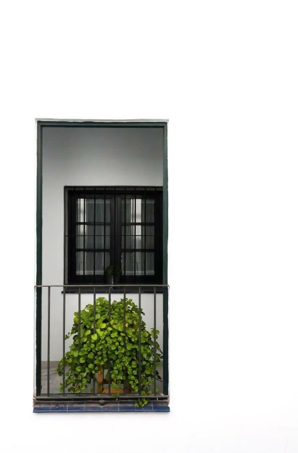סביליה San Eloy Dream Apartment By Valcambre מראה חיצוני תמונה